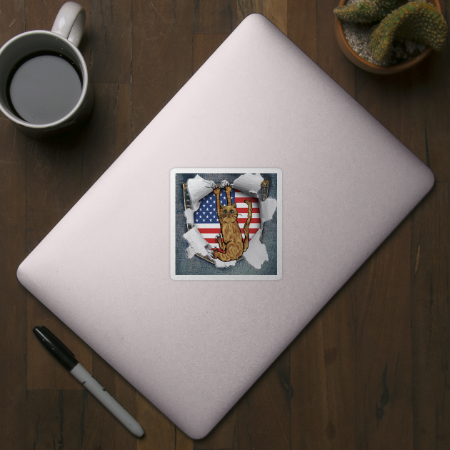 Funny Cat American Flag Cat Lover Gifts by tamdevo1